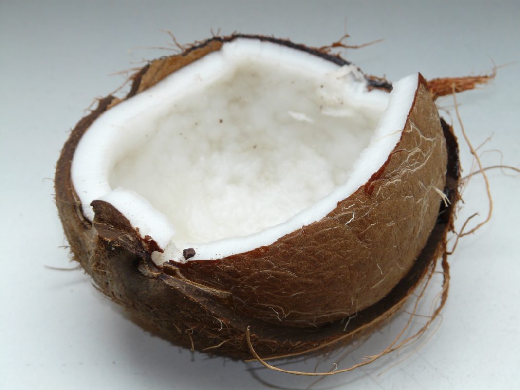 Can Dogs Eat Coconut And Drink Coconut Water?