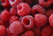 can dogs eat raspberries