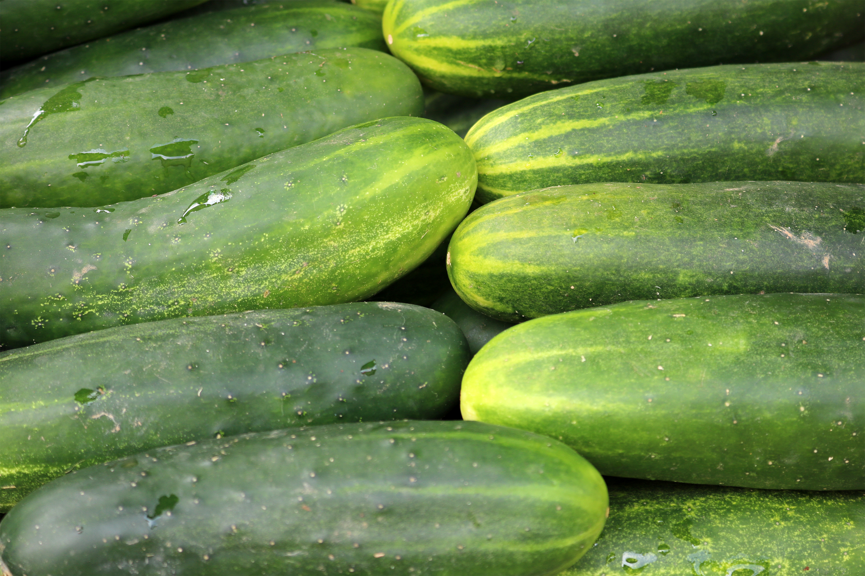 cucumbers