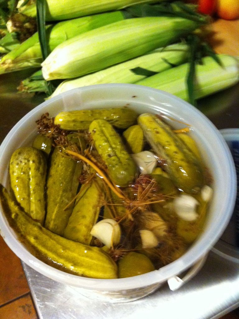 Can Dogs Eat Pickles? [The Truth About Dogs & Pickles]