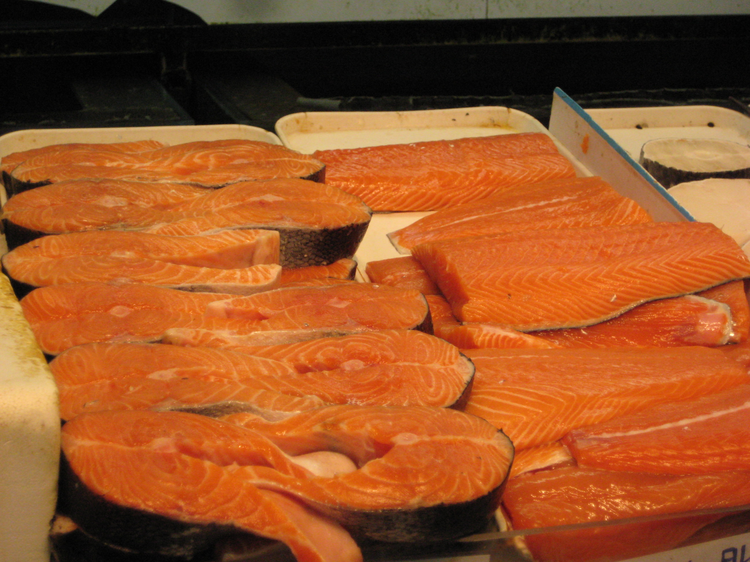 is raw salmon safe for dogs