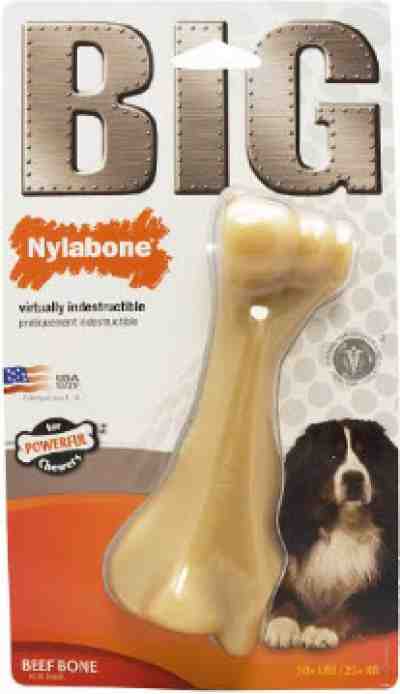 Nylabone Big Chew Durable Toy Bone for Large Breeds
