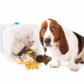 Dog Proof Trash Cans