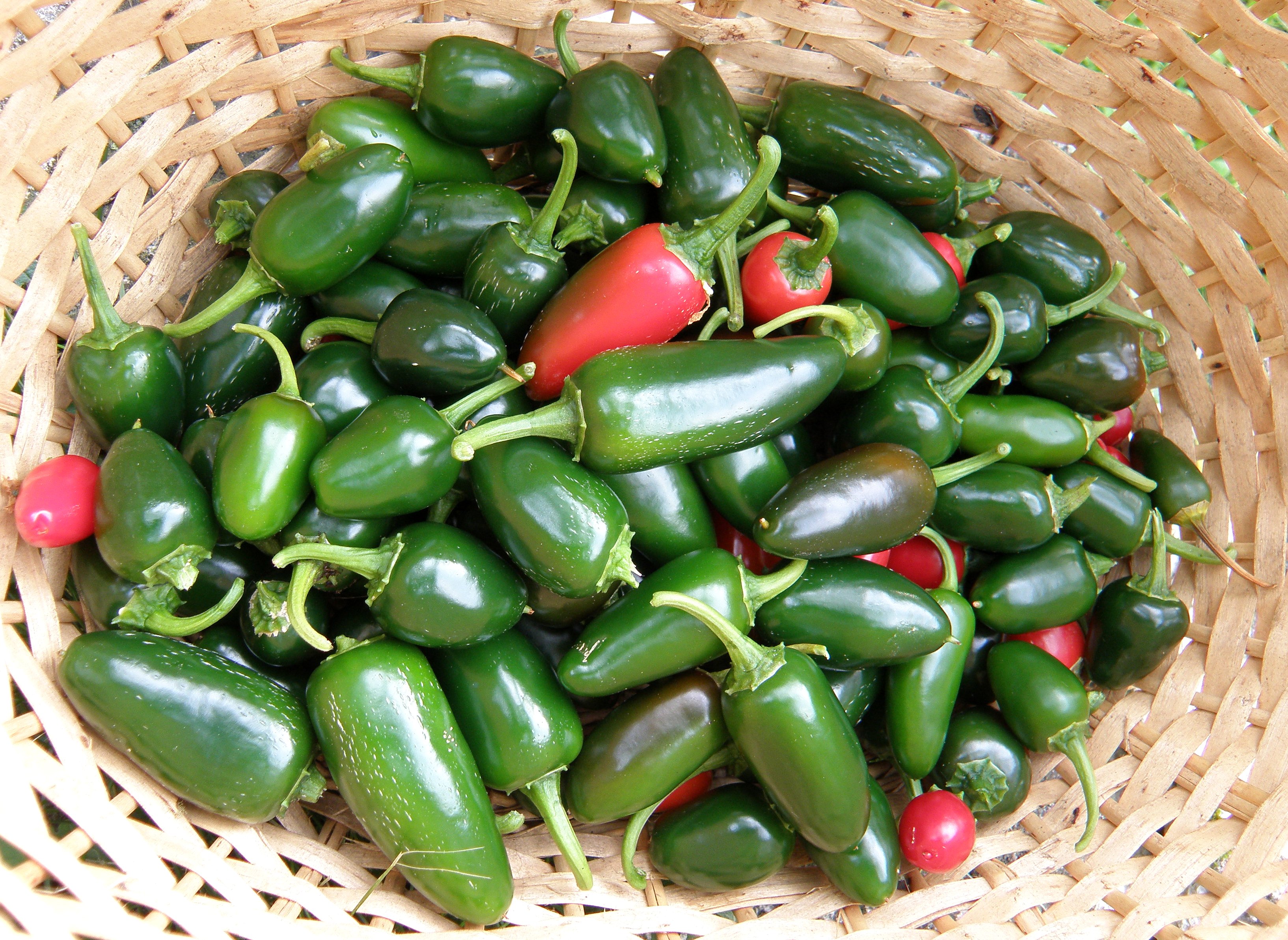 basket of hot peppers