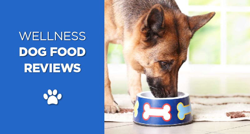 Wellness Dog Food Reviews and Recalls In 2019 - Ultimate Home Life